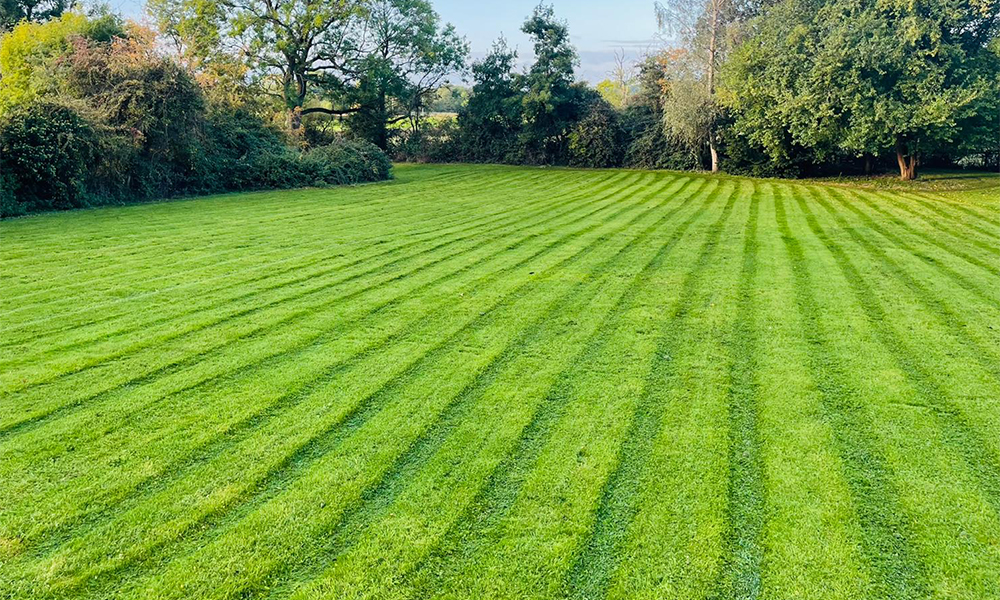Freshly cut lawn